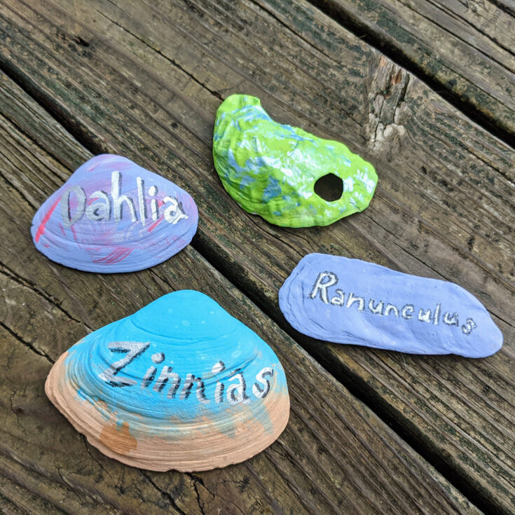 Image for How to: Seashell Plant Labels for Outdoor Garden Beds