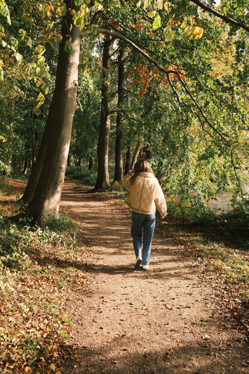8 Best Places for Relaxing Nature Walks in Ottawa