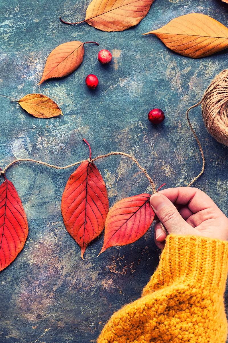 50 Screen-Free Activities for Kids This Fall