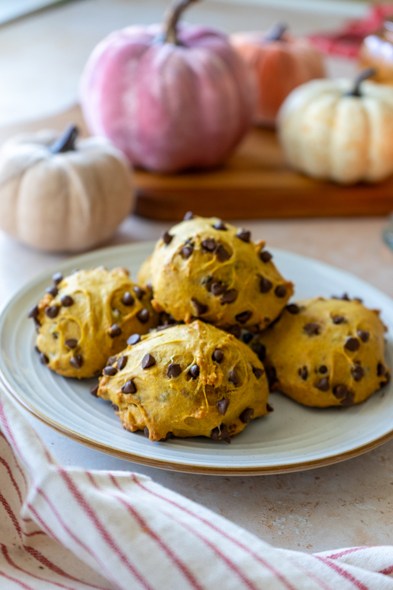 pumpkin chocolate chip scones