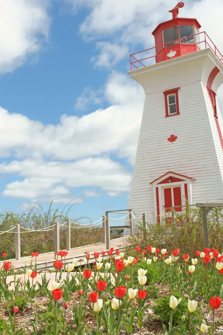 The Ultimate Canadian Summer Bucket List