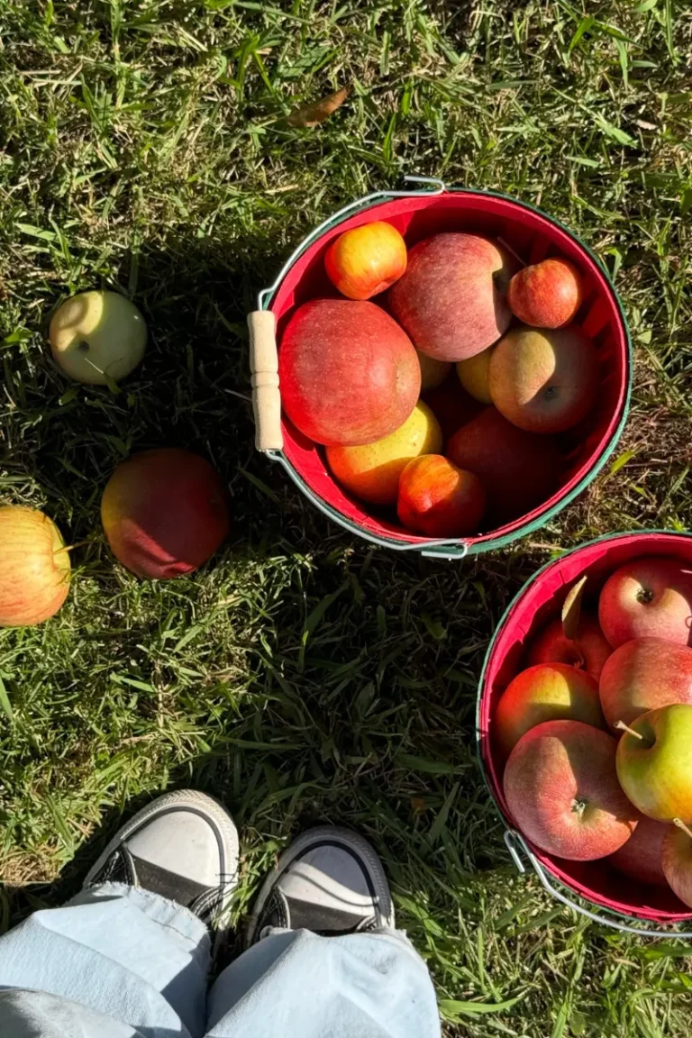 100 Things to Do This Fall with Teens